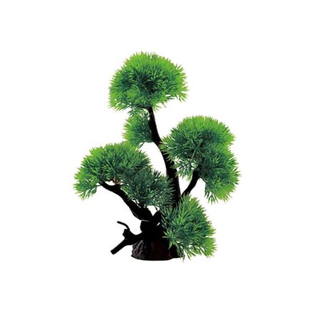 ArtUniq Riccia on bonsai 24 Риччия на бонсае – интернет-магазин Ле’Муррр